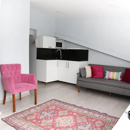 Ditto Flats Provincia di Istanbul