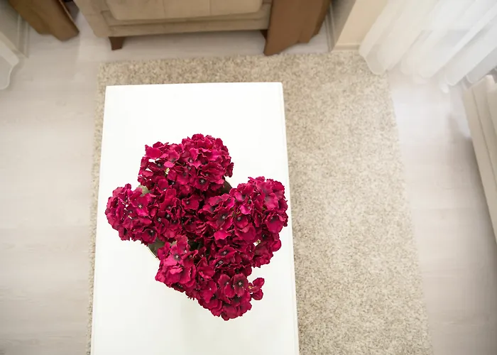 Ditto Flats * Estambul