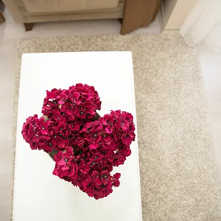 Ditto Flats * Istanbulská provincie